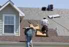 Mayers Flatskylights-2.jpg; ?>